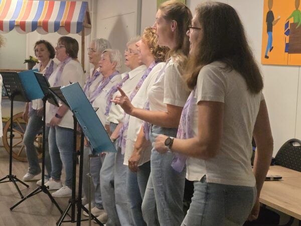 repetitie2